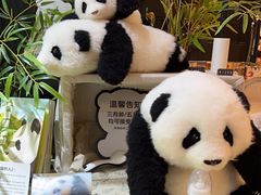 -轩客会(熊猫书店)