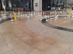 -中粮·祥云小镇