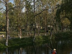 -洋湖国家湿地公园