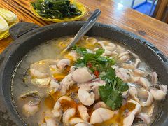 -大鼎石锅鱼(春江里店)