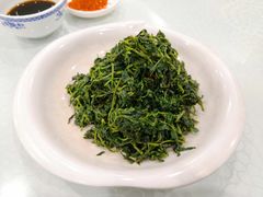 养生枸杞苗-老毛手抓·盐池滩羊手抓(宁夏总店)