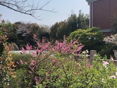 -张江润和国际总部园