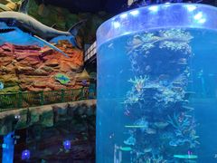 -青岛嘉年华主题乐园