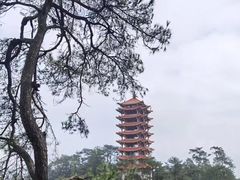 -缙云山景区
