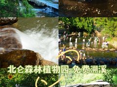 -北仑森林植物园