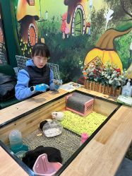 -神奇动物撸宠馆·羊驼·小浣熊·异宠(豫园店)