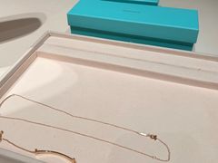 -Tiffany & Co.(银座本店)
