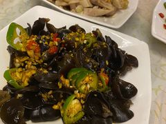 -百利鸽王(紫薇路店)
