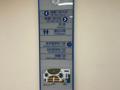 -上海市东方医院(总院)