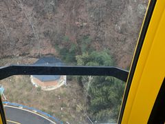 -栾川竹海野生动物园