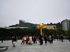 -金莲花广场