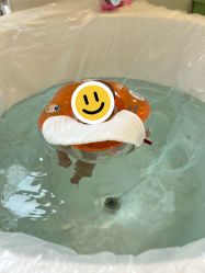 -马博士婴儿游泳馆(望京旗舰店)