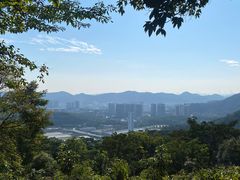 -黄埔油麻山森林公园