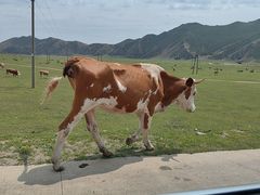 -库伦旗银沙湾旅游景区