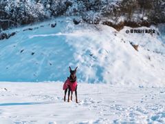 -太子岭滑雪场