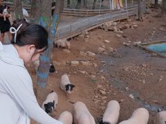 -金石滩蓝莓谷庄园