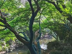 -老李家土菜馆·安吉地标美食