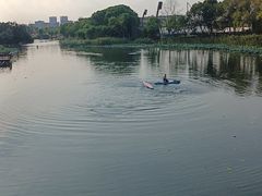 -新江湾城公园