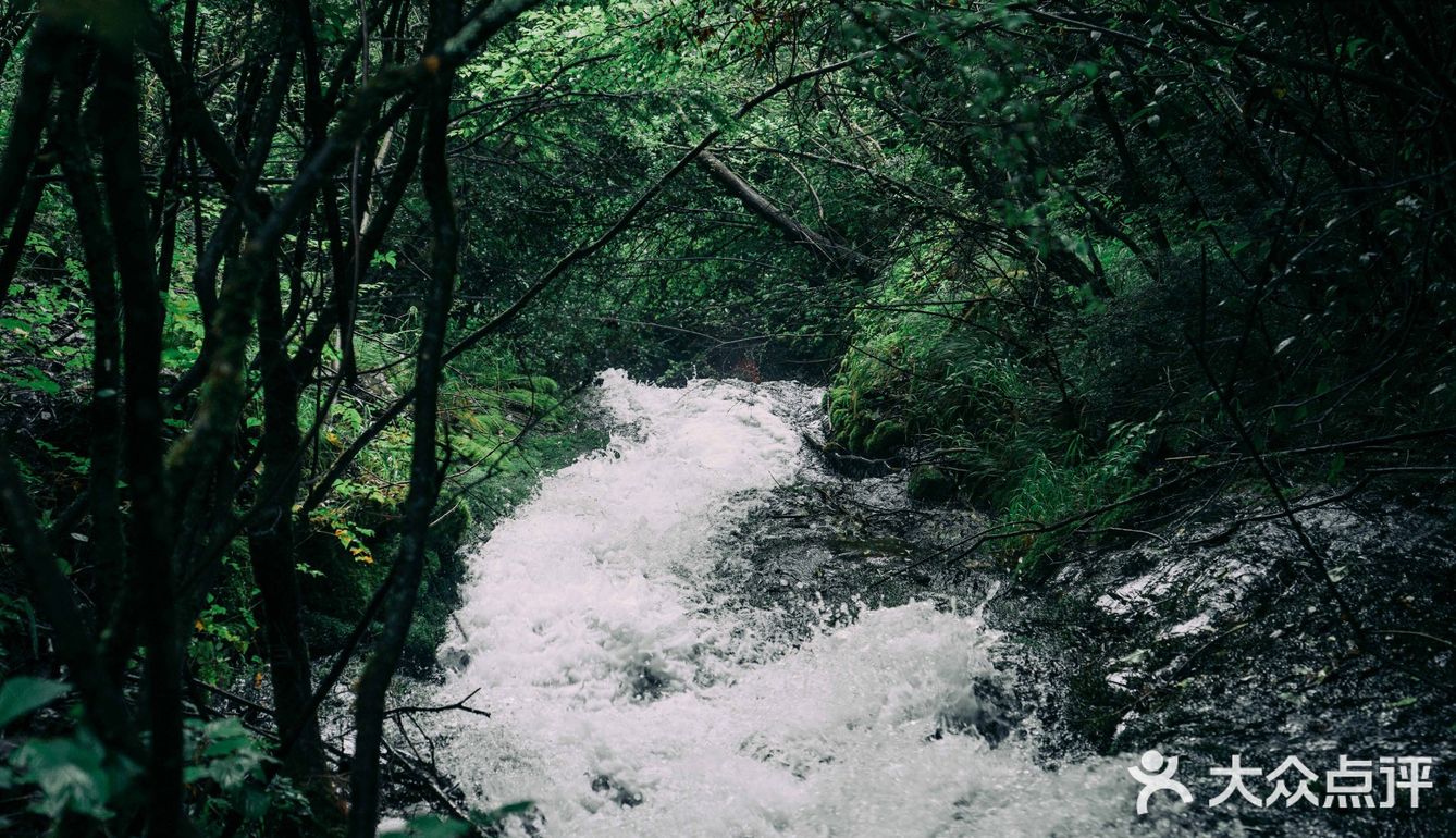 秋日露营季！睡帐篷、赏星空、围炉夜话，一起出发吧！