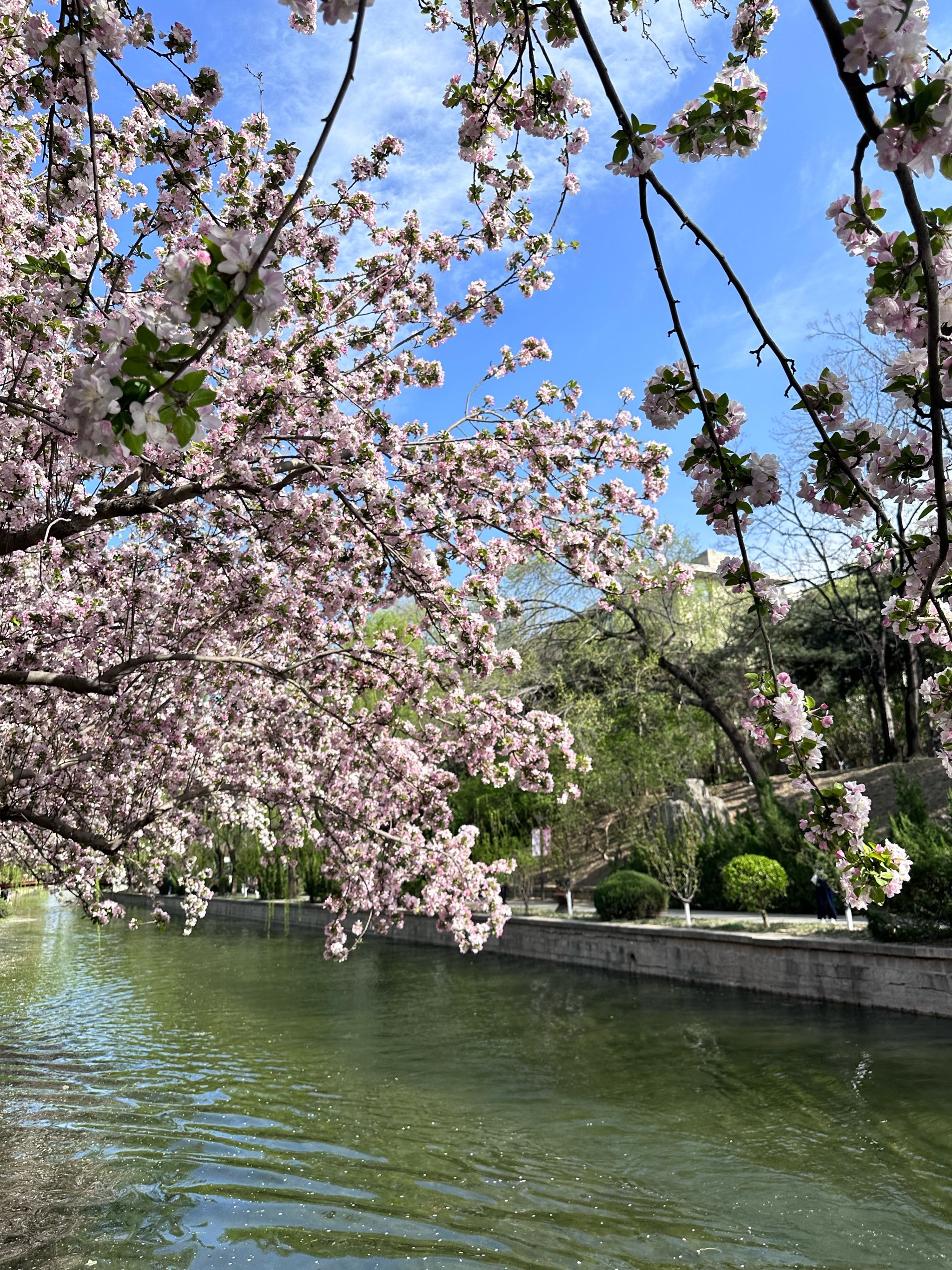 北土城海棠花溪美景