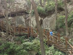 -大岭沟猕猴桃谷风景区