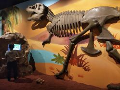 -北京科学中心儿童乐园