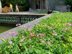 -深圳国际园林花卉博览园