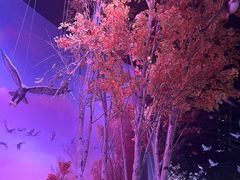 -中国湿地博物馆