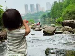 -重庆彩云湖湿地公园