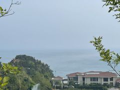 -棒棰岛宾馆景区