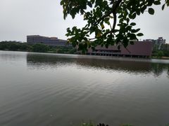 -松山湖南湖湾露营营地