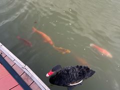 -春晖园度假酒店温泉