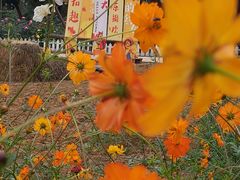 -武汉紫薇都市田园