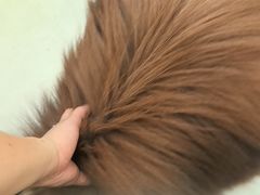 -瑞鹏宠物医院·宠保定点·心脏科·内科(御桥分院)