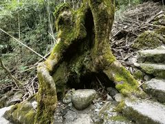 -牛角寨瀑布景区