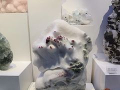 -重庆自然博物馆(新馆)