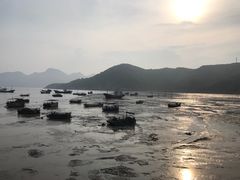 -小皓村