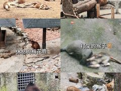 -杭州动物园