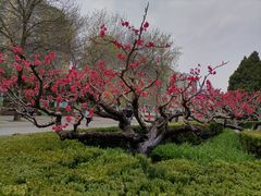 -元大都城垣遗址公园