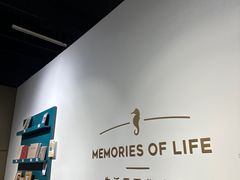 -海马体照相馆(天津世纪都会店)