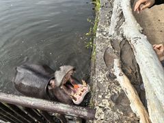 -海南热带野生动植物园