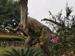 -自贡恐龙博物馆