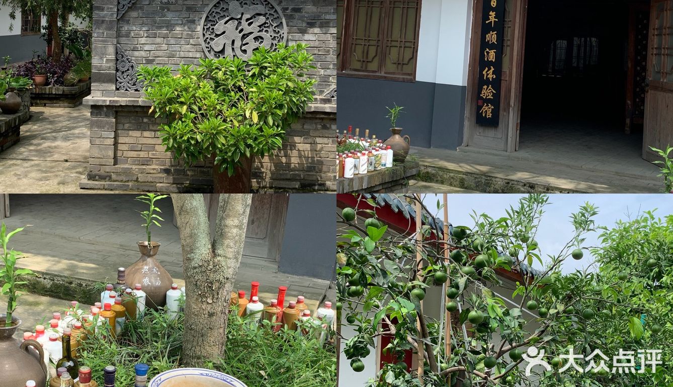 眉山探店｜九芳-乐山周边的宝藏农场👨🏻‍🌾 