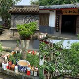 眉山探店｜九芳-乐山周边的宝藏农场👨🏻‍🌾 