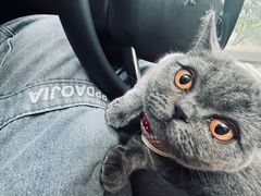 -美联众合动物医院(·中兽医·疑难杂症·严家桥分院)