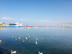 -青海湖国家重点风景名胜区