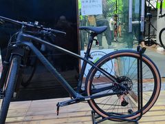 -道路口单车爱瓦士dahon大行