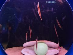 -欢乐海岸海洋奇梦馆