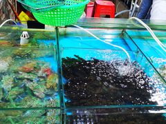 -万尾农贸市场