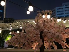 -城市露台景观餐厅(淮海路店)